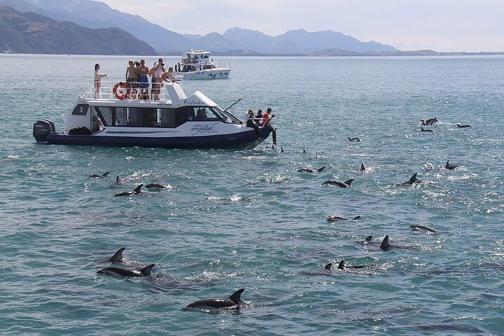 Kaikōura Day Tour From Christchurch With Dolphin Encounter - Photo 1 of 11